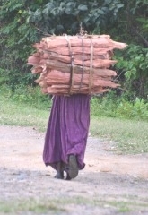 Walking for firewood