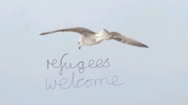 Seagull with wording 'refugees welcome'